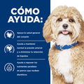 Alimento para perro Hills Canino H/D
