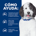 Alimento para perro Hills Canino C/D