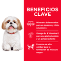 Alimento para perro Hills Canino Senior Small Bites