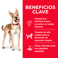 Alimento para perro Hills Canino Adulto Cordero Y Arroz