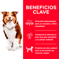 Alimento para perro Hills Canino Senior Original
