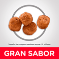 Alimento para perro Hills Canino Senior Original