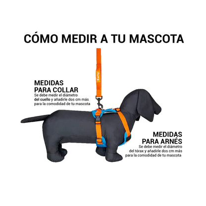 Pechera Acolchada Walker Naranja y Azul Kanu Pet para Perro