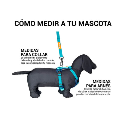 Pechera Acolchada Walker Azul Kanu Pet para Perro-Kanu Pet