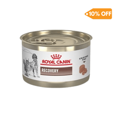 Alimento Para Perro Royal Canin Recovery