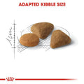 Alimento Para Gato Royal Canin Savour Exigent