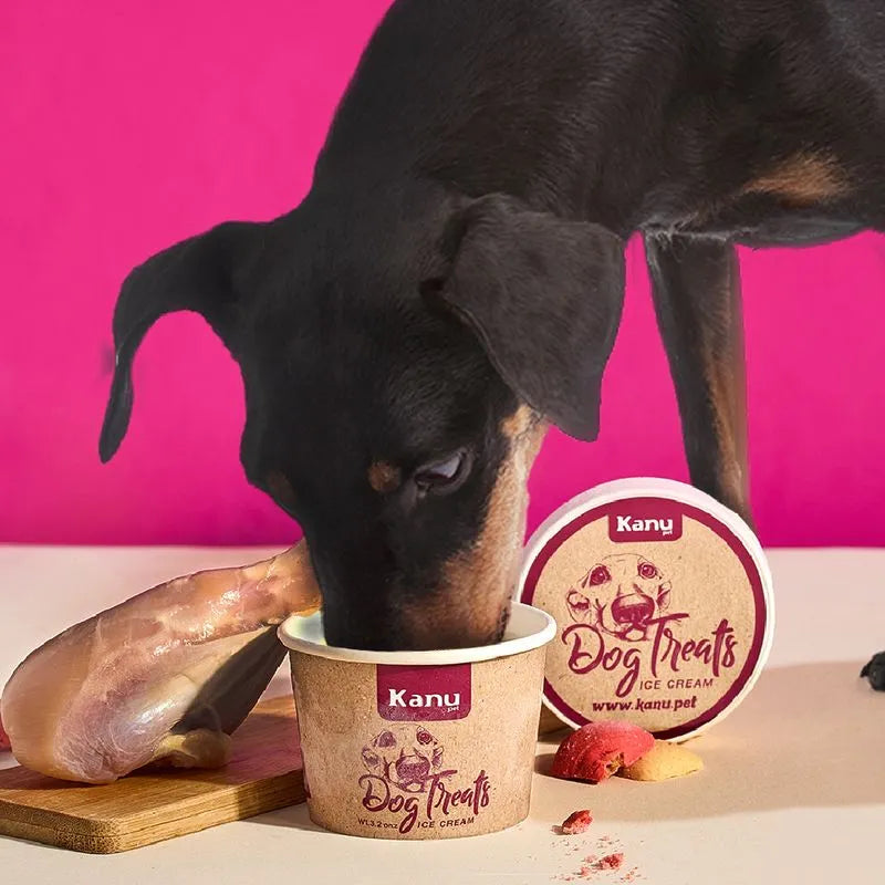 Kanu Helado Galleta Pollo Para Perro y Gato