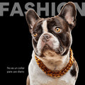 Collar Cadena Cubana Kanu Pet Plateada para Perro y Gato