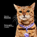 Collar Cadena Acrilica Kanu Pet Lila Para Perro y Gato