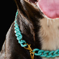 Collar Cadena Acrilica Kanu Agua Marina Para Perro y Gato