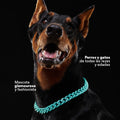 Collar Cadena Acrilica Kanu Agua Marina Para Perro y Gato