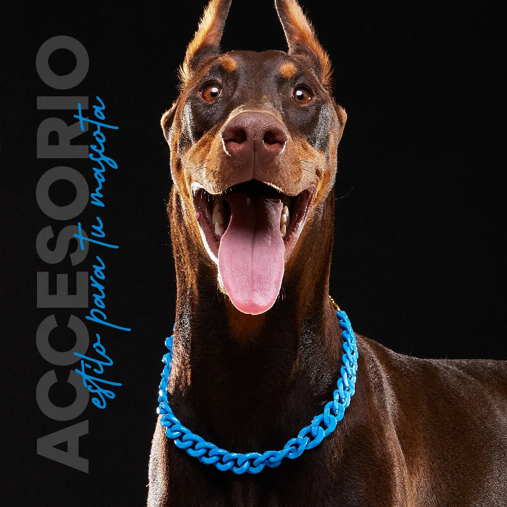 Collar Cadena Acrilica Kanu Pet Azul Para Perro y Gato - {{ Kanu Pet }}