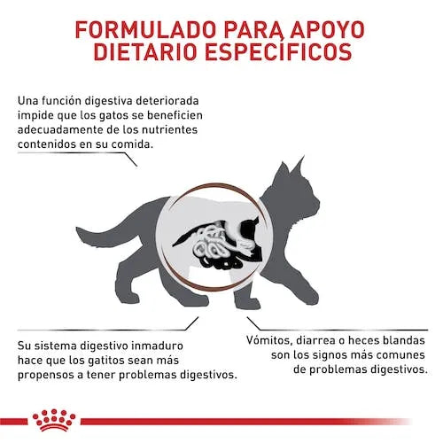 Alimento Para Gato Royal Canin Kitten Gastrointestinal