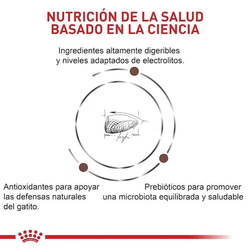 Alimento Para Gato Royal Canin Kitten Gastrointestinal