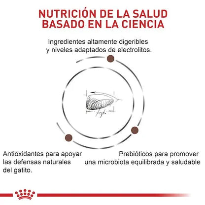 Alimento Para Gato Royal Canin Kitten Gastrointestinal