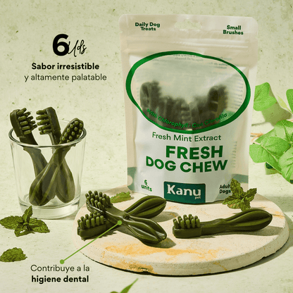 Snack Cepillo Dental Small Kanu Pet Dental Fresh Para Perros Sabor a Menta