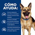 Alimento Para Perro Hills Gastrointestinal Biome