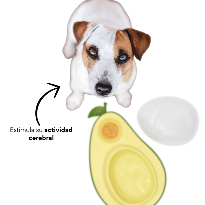 Comedero/Dispensador Antirreflujo Aguacate Kanu Pet Para Perros