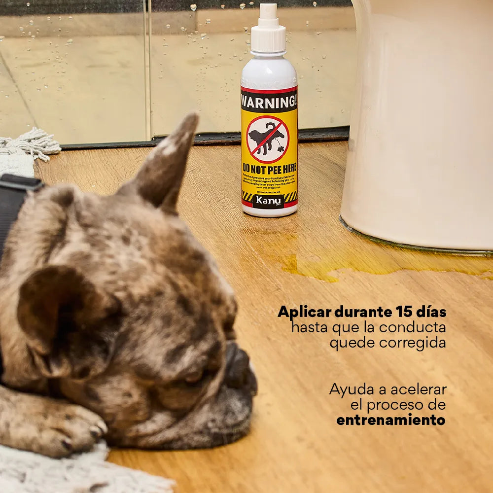 Spray de Adiestramiento Don't Pee Here de Kanu Pet para perros y gatos 100% Natural - {{ Kanu Pet }}