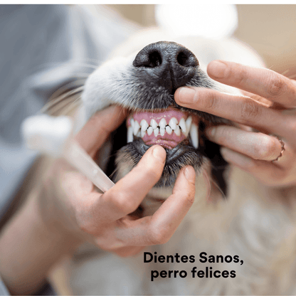 Cepillo de Dientes Ecológico Kanu Pet para Perros x 1 und - {{ Kanu Pet }}