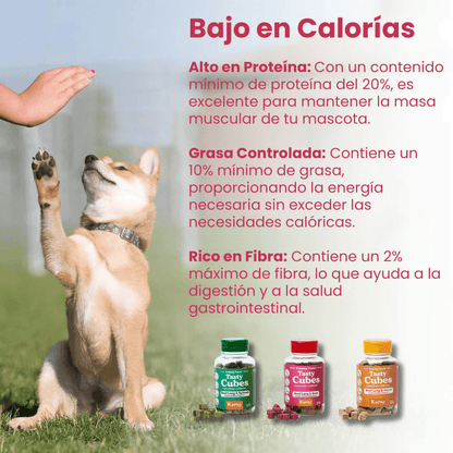 Kanu Pet Tasty Cubes de Remolacha Liofilizada para Perros, Ideales para Entrenar, Bajas en Calorías y Llenas de Sabor