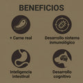 Alimento Seco Agility Gold para Cachorros en Primera Fase de Crecimiento