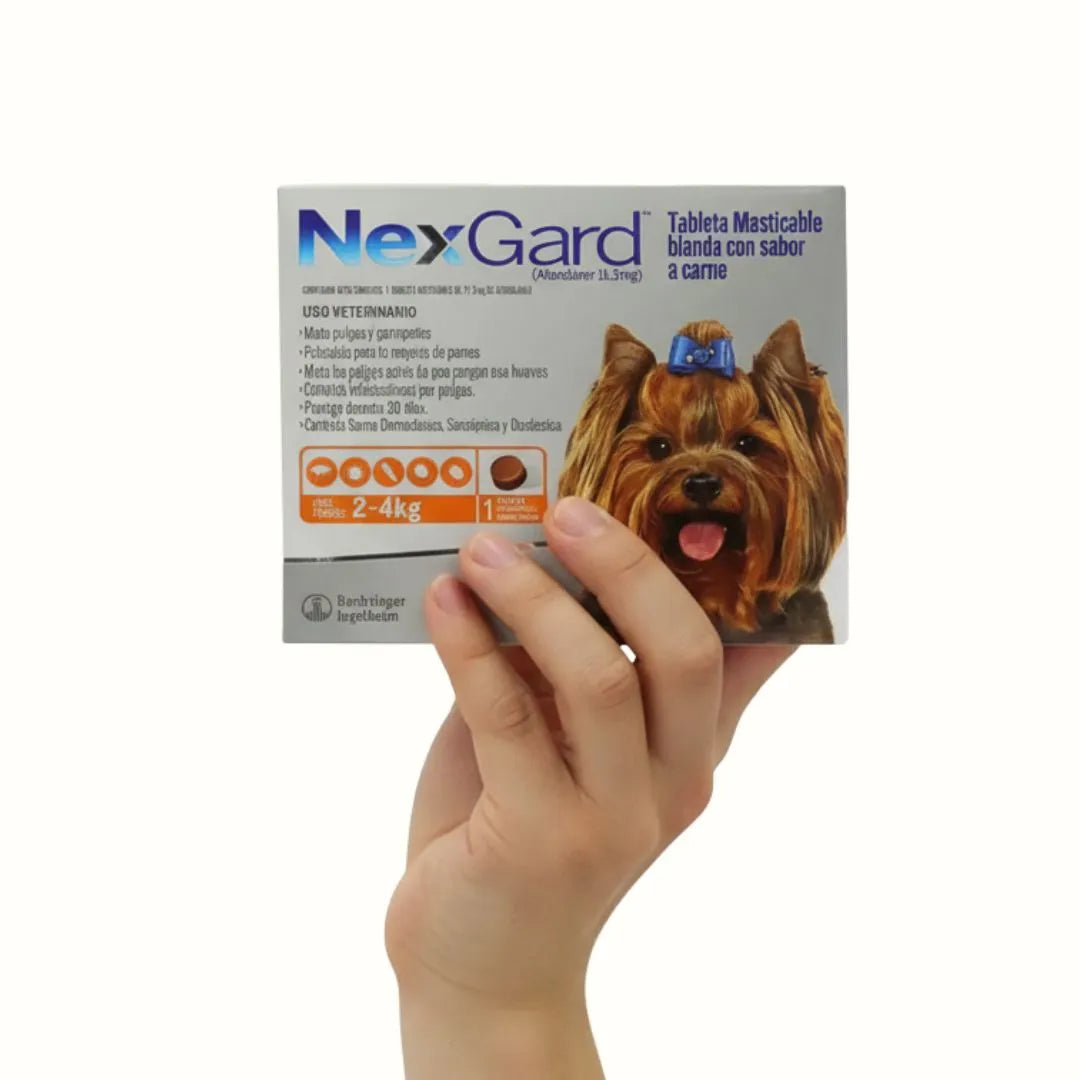 Antipulgas Nexgard para Perros de 2  a 4 Kg