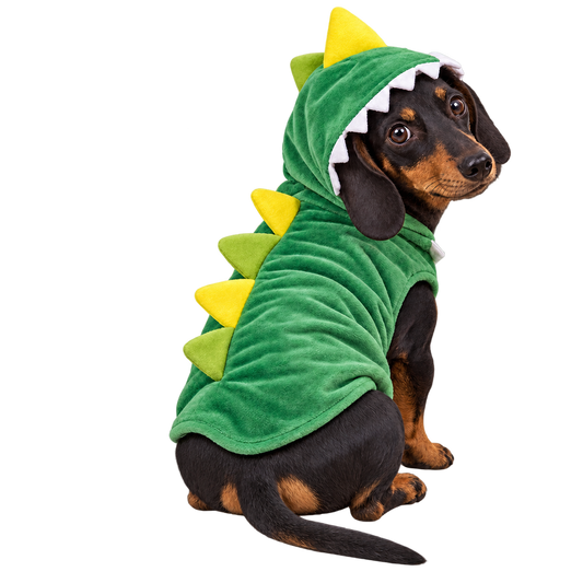 Disfraz de Cocodrilo  Kanu Pet para Perro
