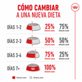 Alimento Royal Canin Ageing 12+ para Gato