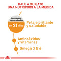 Alimento para gato Royal Canin FCN Hair & Skin Care
