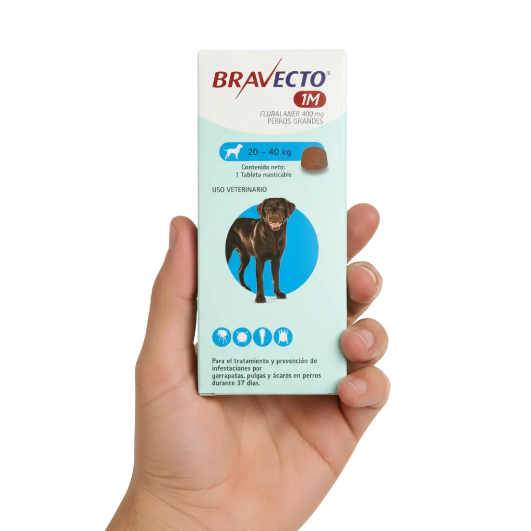 Antipulgas Bravecto 1 Mes 20 a 40 KG Para Perro