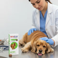 Antipulgas Bravecto  para Perros de 10 a 20 Kg
