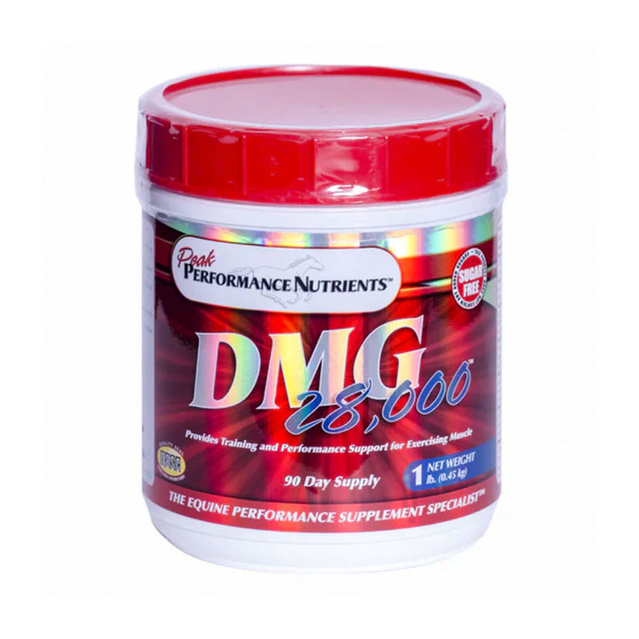 Suplemento Concentrado DMG 28.000 para Caballos