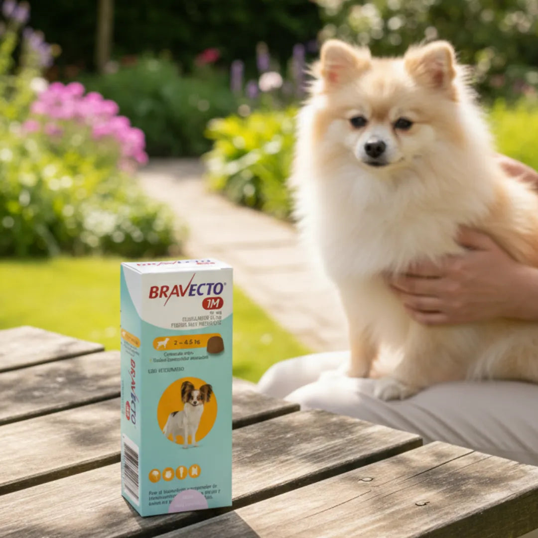 Antipulgas Bravecto 1 Mes 2 a 4.5 KG Para Perro