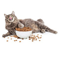 Alimento Proplan Gato Adulto