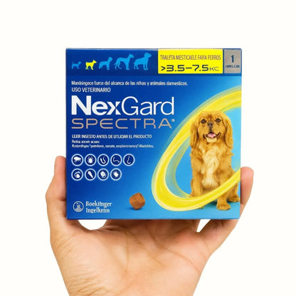 Antipulgas Nexgard para Perros S de 3.5 a 7 Kg