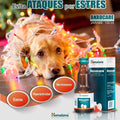 Anxocare 100 ml para perro