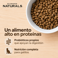 Alimento Seco Diamond Pollo & Arroz para Gato Kitten