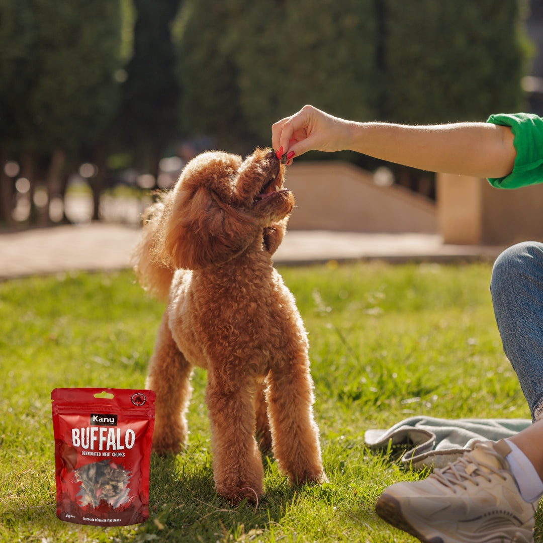 Snack de Trozos de Búfalo Deshidratados Kanu Pet para perros y gatos 100% Natural , Un solo ingrediente