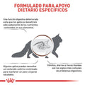 Alimento Para Gato Royal Canin Gastro Intestinal