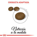 Alimento para gato Royal Canin FCN Hair & Skin Care
