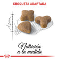 Alimento para gato Royal Canin Sensible