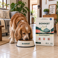 Alimento Seco Bonnat Veterinary Diet Canine Renal Support