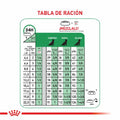 Alimento para perro Royal Canin Mini Adulto