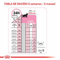Alimento para gato Royal Canin Kitten