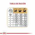 Alimento para gato Royal Canin Siames