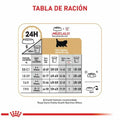 Alimento para gato Royal Canin Persa Cachorro