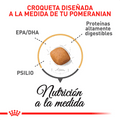 Alimento Para Perro Royal Canin Pomerania
