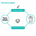 Alimento Seco Agility Gold para Perros con Sobrepeso u Obesidad