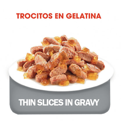 Alimento para gato Royal canin Lata Kitten